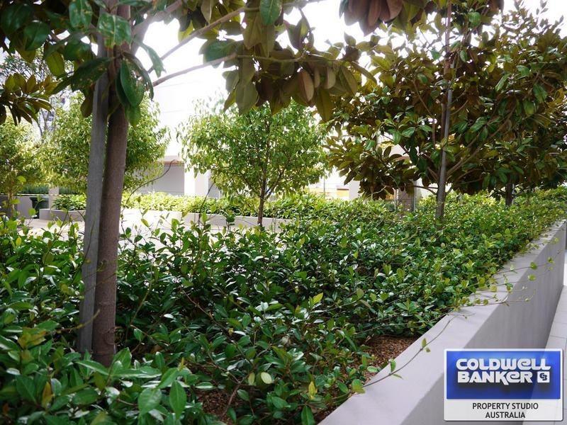 105/151 Adelaide Terrace, East Perth WA 6004