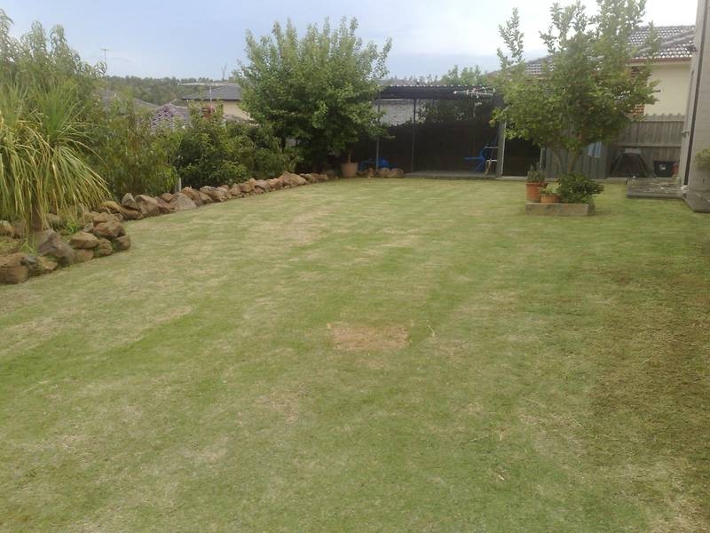 Cecil Hills NSW 2171