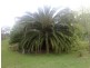 Mount Pritchard NSW 2170