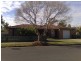 16 Knowles Place, Bossley Park NSW 2176