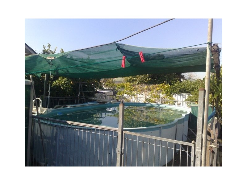 7 Paul Cres, Canley Heights NSW 2166