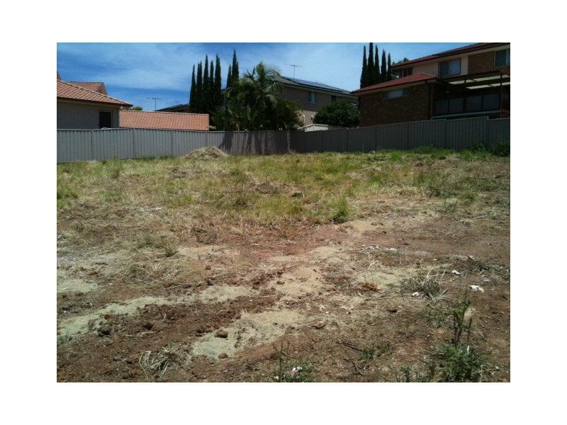 22 Hoddle place, Carnes Hill NSW 2171