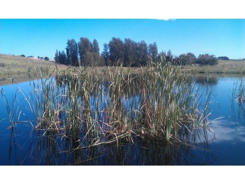 2255 Elizabeth Drive, Luddenham NSW 2745