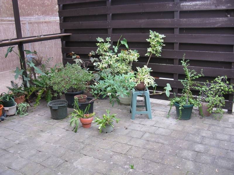 2/17 Waikiki Court, West Lakes SA 5021