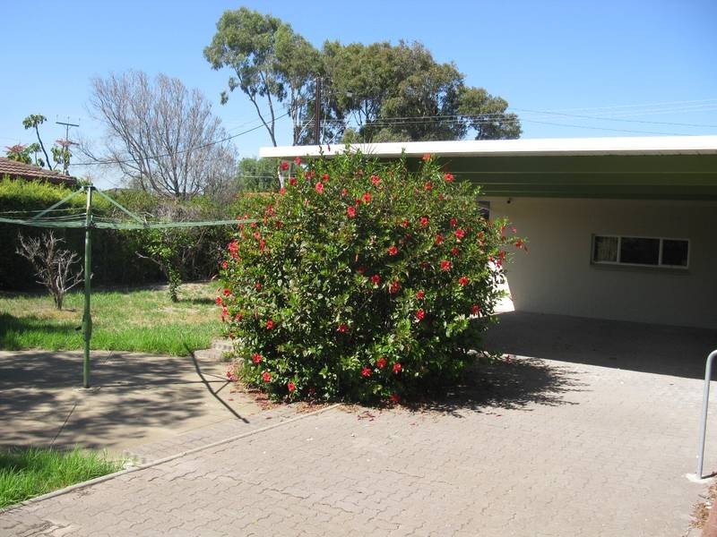 2 Mitton Ave, Henley Beach SA 5022