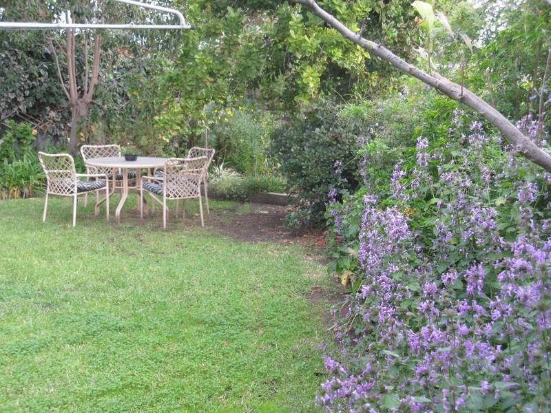 103 Beach Street, Grange SA 5022