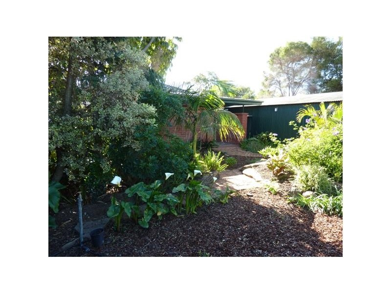 67 California Street, Collinswood SA 5081