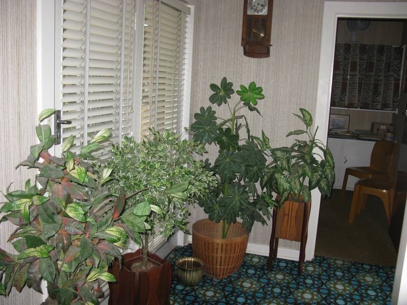 105 East Terrace, Henley Beach SA 5022