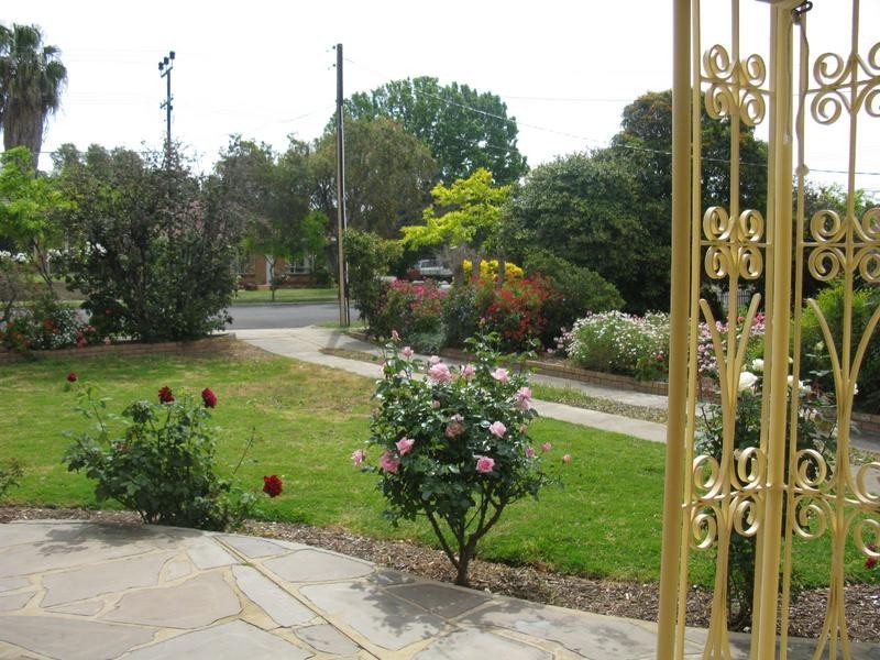 31 Fulham Park Drive, Lockleys SA 5032