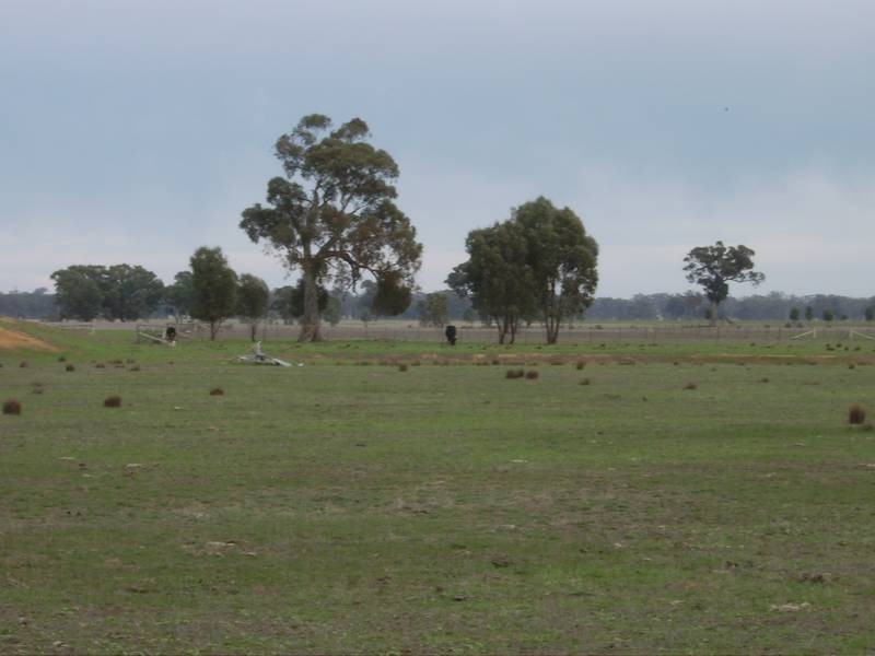 Bundalong South VIC 3730