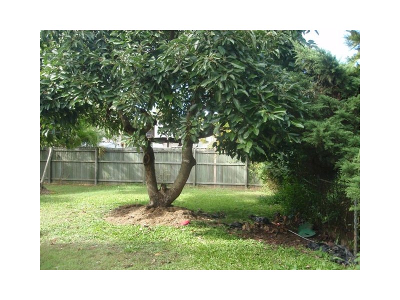 1279 Anzac Avenue, Kallangur QLD 4503