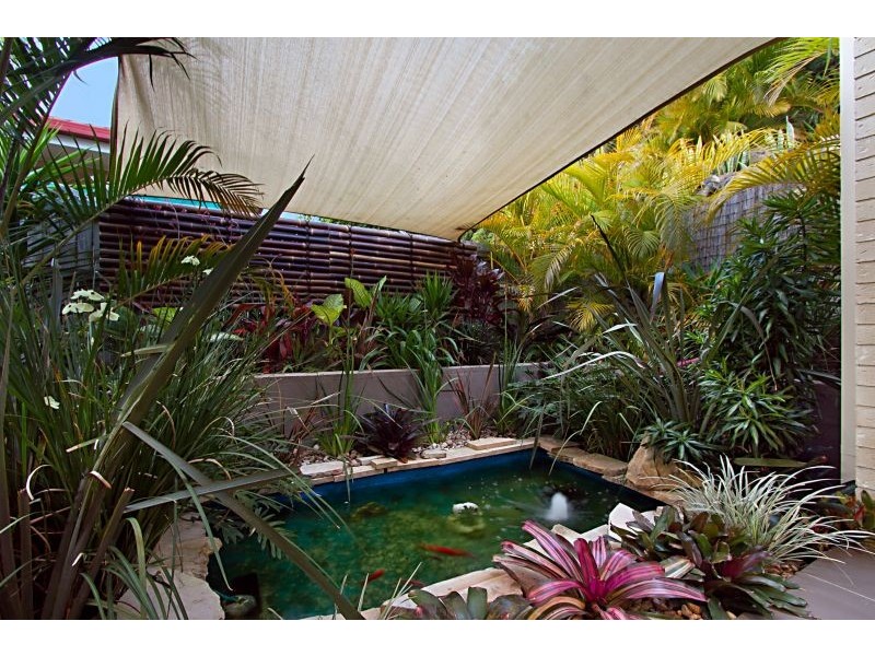 39 Whittome Esplanade, Murrumba Downs QLD 4503