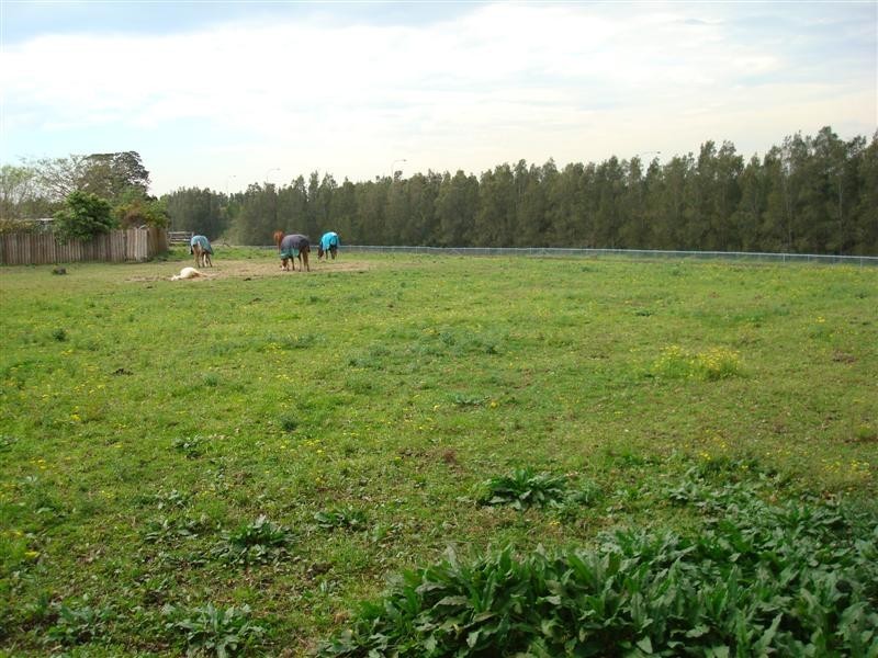 21 EASTERN AVENUE, Tarro NSW 2322