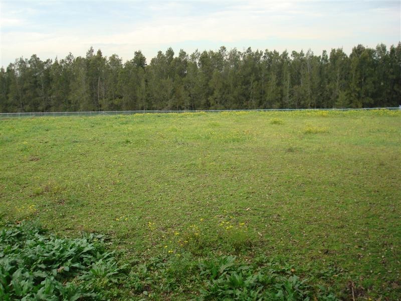 21 EASTERN AVENUE, Tarro NSW 2322