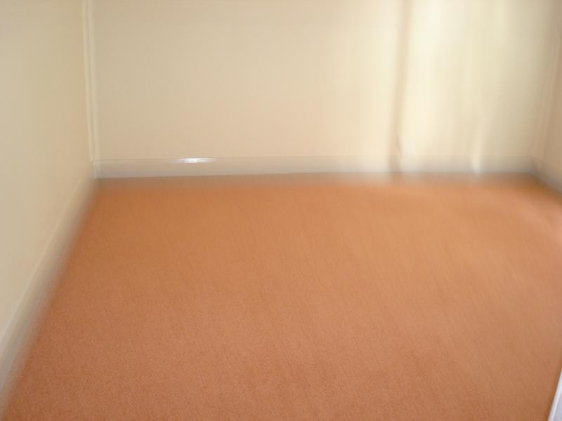 171 Maitland Road, Sandgate NSW 2304