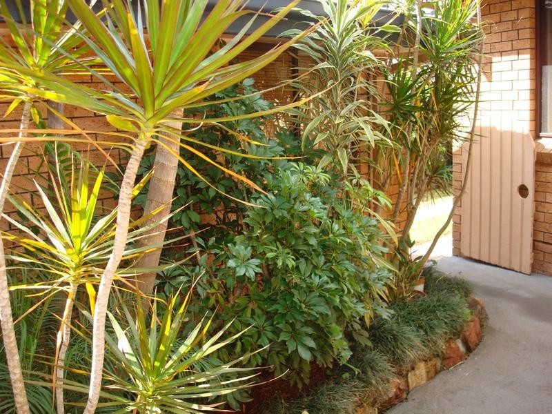 26 Blackett Close, East Maitland NSW 2323