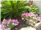 Woodberry NSW 2322