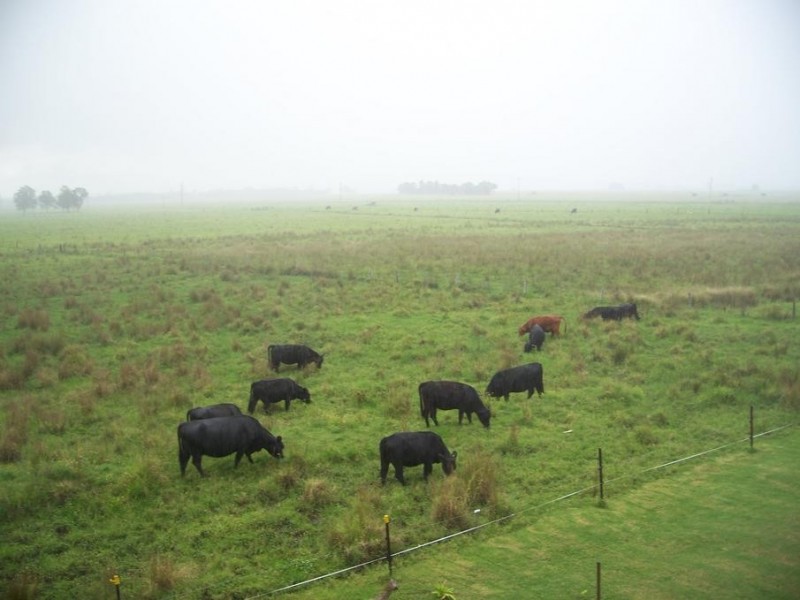 123/2231 Pacific Gardens Village Pacific Highway, Heatherbrae NSW 2324