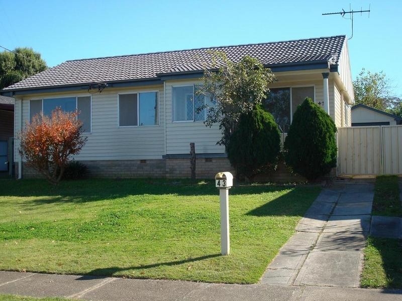 43 Weingartner Avenue, Tarro NSW 2322