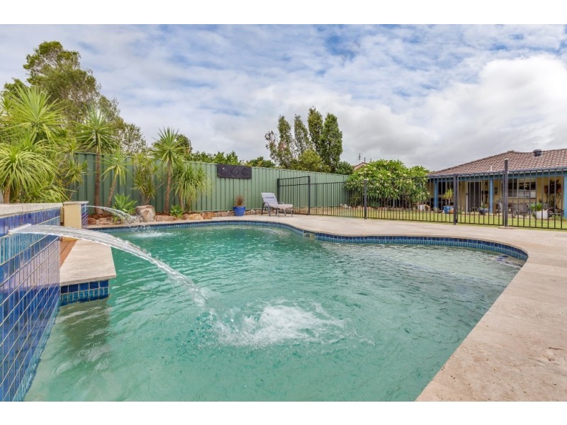 37 Frewin Avenue, Woodberry NSW 2322