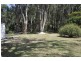 413 Lemon Tree Passage Road, Salt Ash NSW 2318