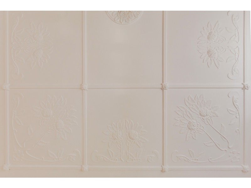 11 Narara Road, Adamstown NSW 2289