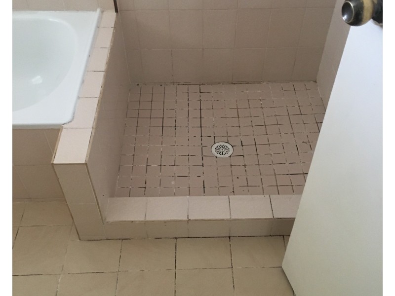 3 Waterbush Crescent, Woodberry NSW 2322