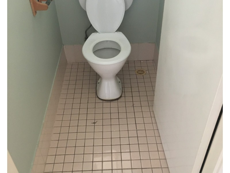 3 Waterbush Crescent, Woodberry NSW 2322