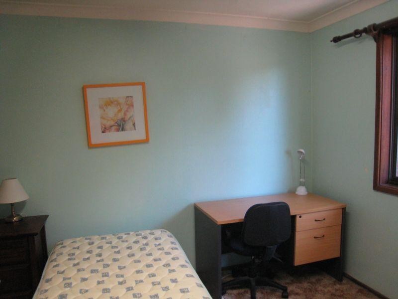 49 Morpeth Road, Waratah West NSW 2298