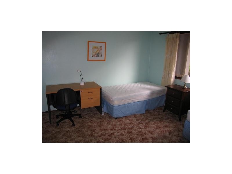 49 Morpeth Road, Waratah West NSW 2298