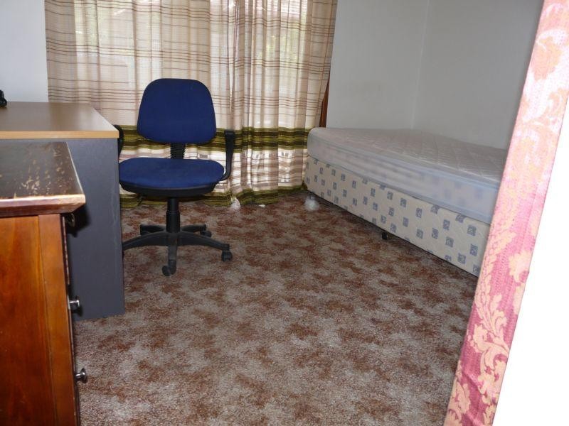 49 Morpeth Road, Waratah West NSW 2298