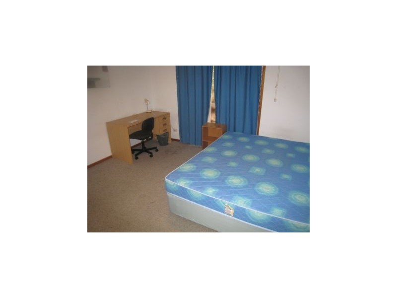 104 Janet Street, North Lambton NSW 2299