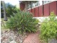 27 Turana Parade, North Lambton NSW 2299