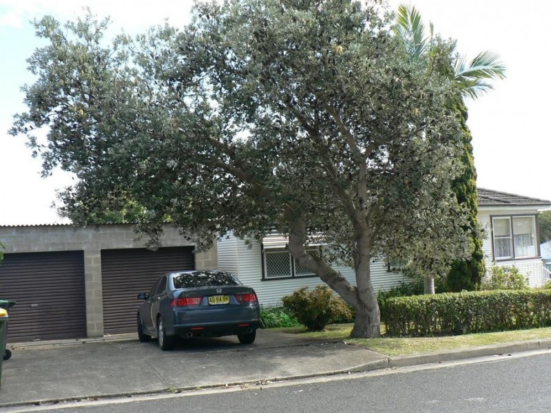 25 William Street, North Lambton NSW 2299