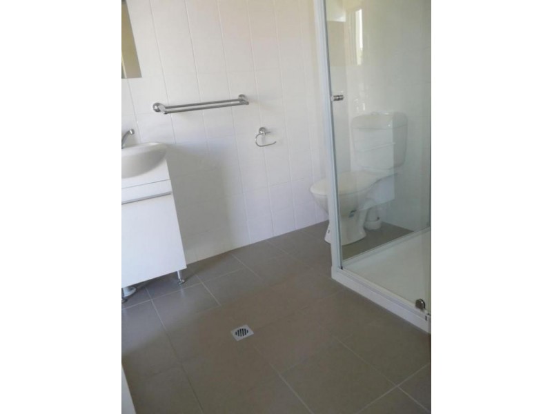 3 Mawson Street, Shortland NSW 2307