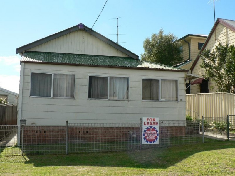 18 Chinchen Street, North Lambton NSW 2299