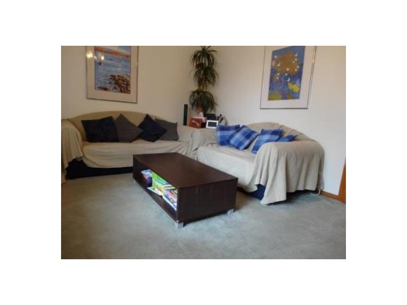 20 Alderson Street, Shortland NSW 2307