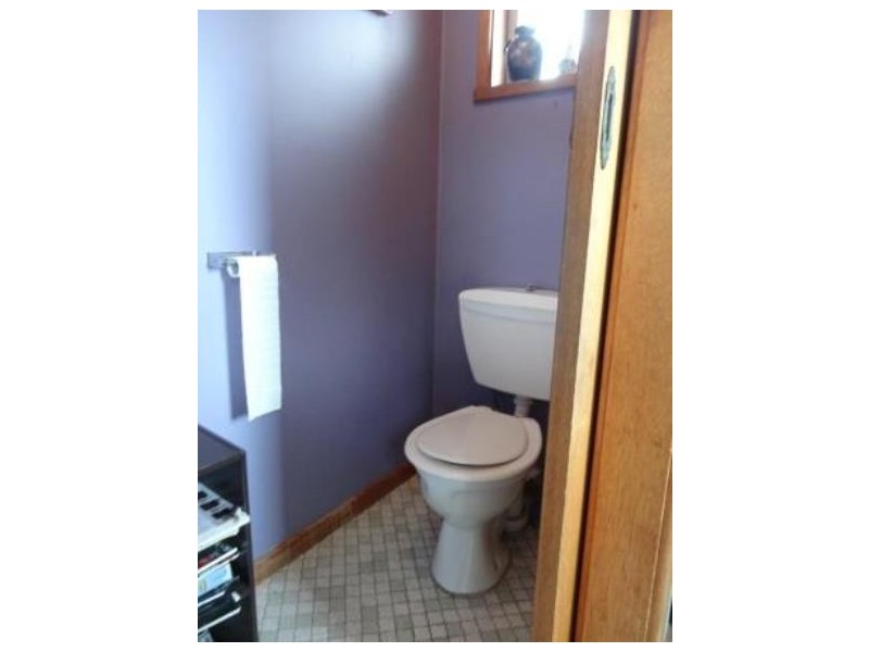 20 Alderson Street, Shortland NSW 2307