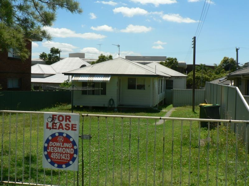 17 The Crescent, Wallsend NSW 2287