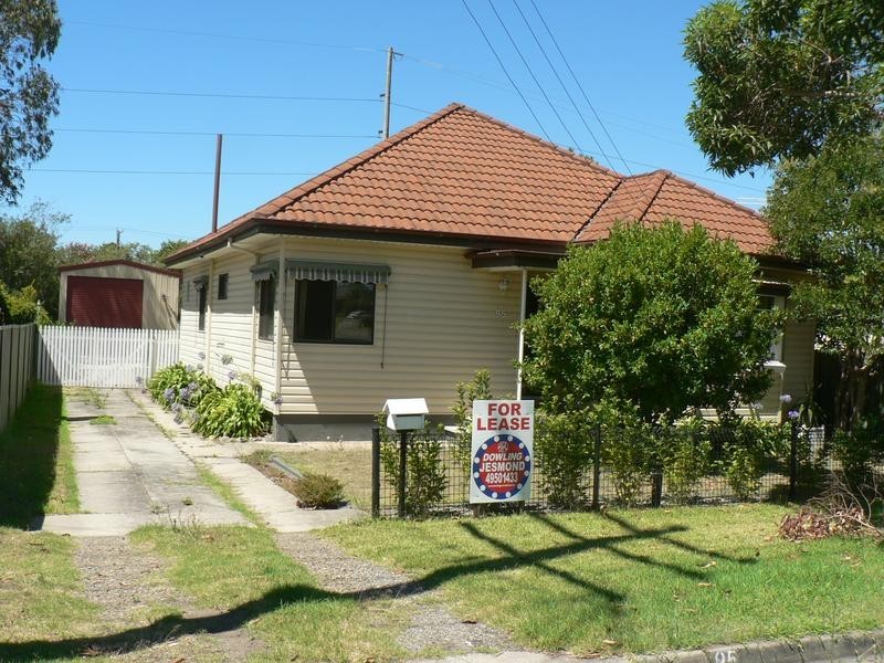 95 Wilkinson Avenue, Birmingham Gardens NSW 2287