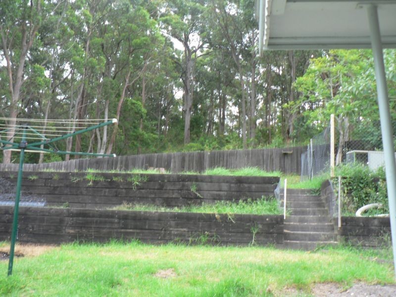 164 Cardiff Road, Elermore Vale NSW 2287