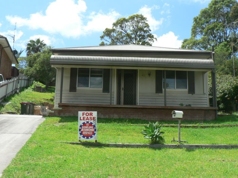 40 Naughton Avenue, Birmingham Gardens NSW 2287