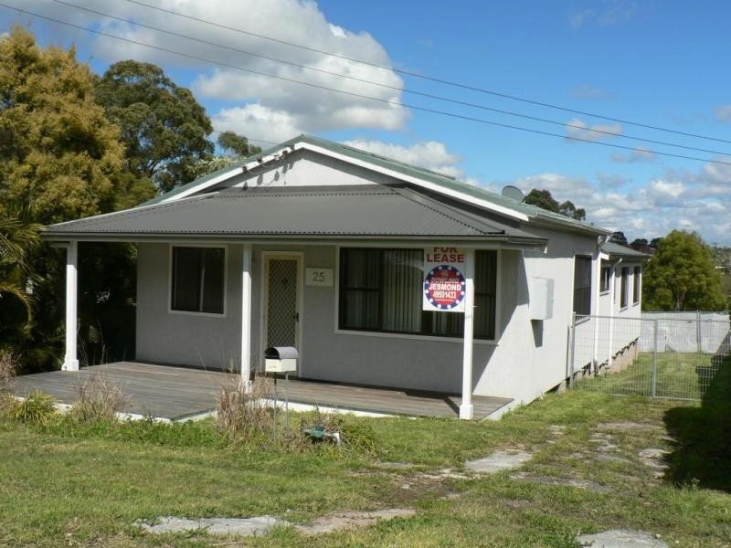 25 Mawson Street, Shortland NSW 2307