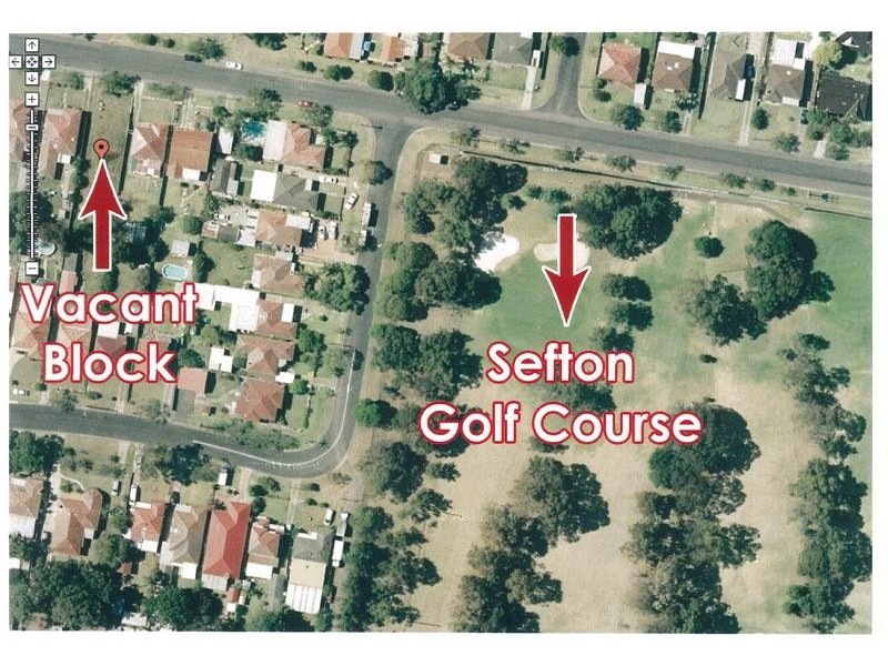 41 Palmer Street, Sefton NSW 2162
