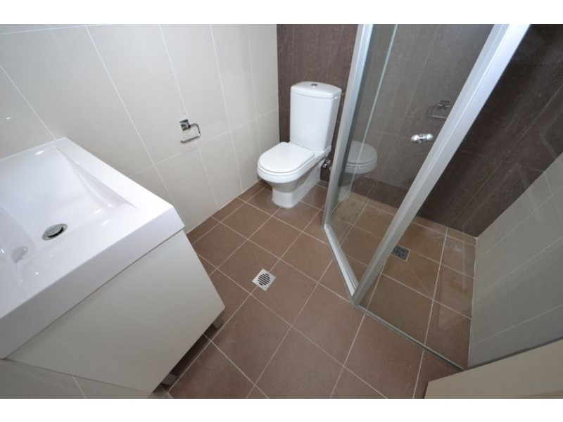 48 St Hilliers Road, Auburn NSW 2144