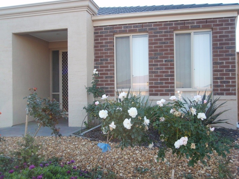 54 Papillon Parade, Tarneit VIC 3029