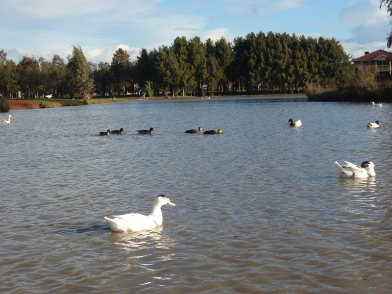 Lot 5229, A/13 Glenfield Avenue, Melton VIC 3337