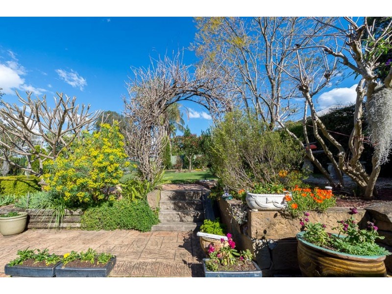 15 Wesley Street, Bolwarra Heights NSW 2320