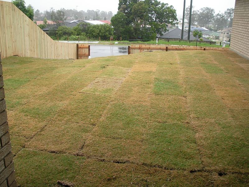 12 Manassa Street, Upper Coomera QLD 4209