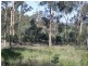 103 Guara Grove, Pimpama QLD 4209